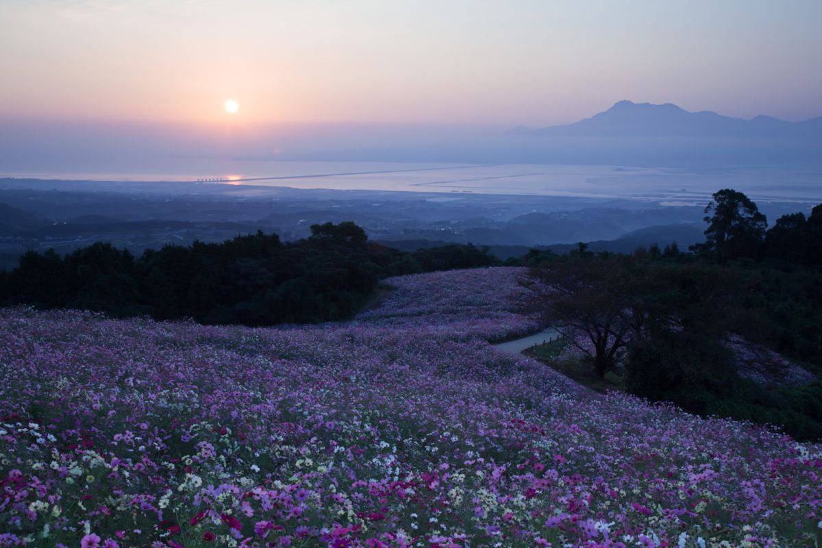 白木峰高原（長崎県）