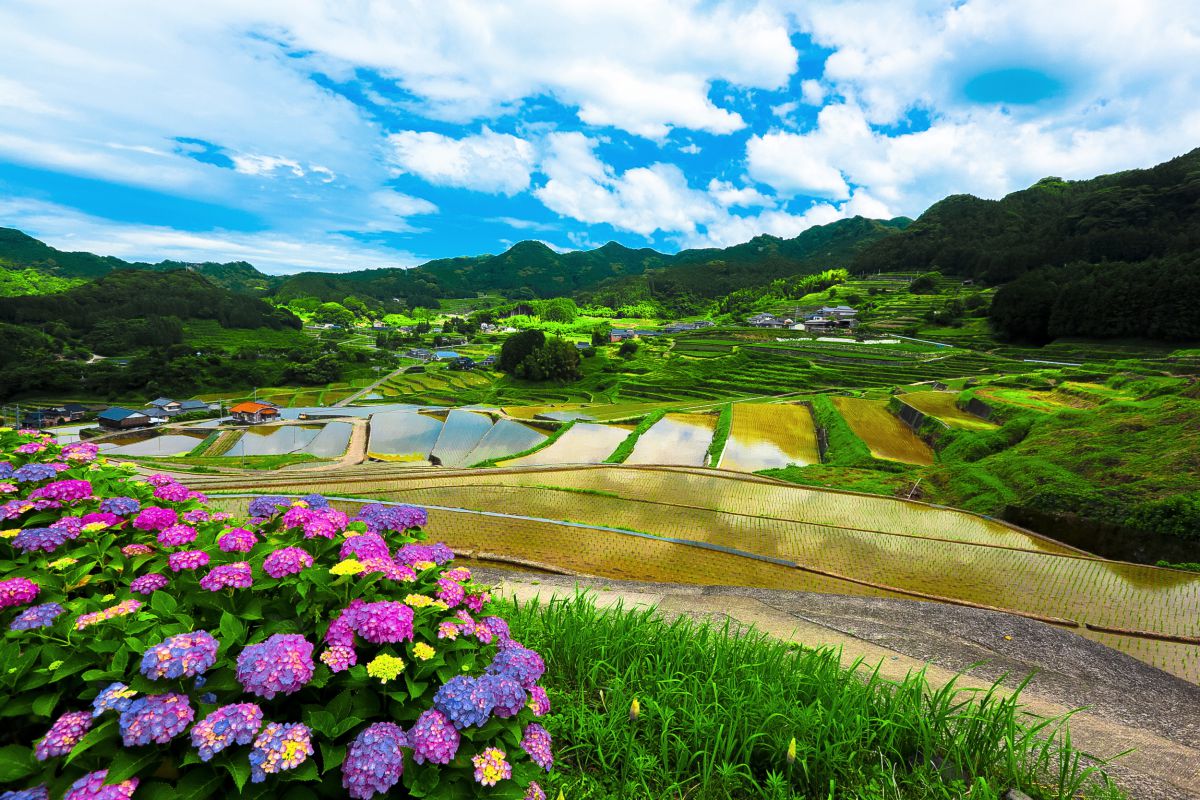 鬼木　棚田