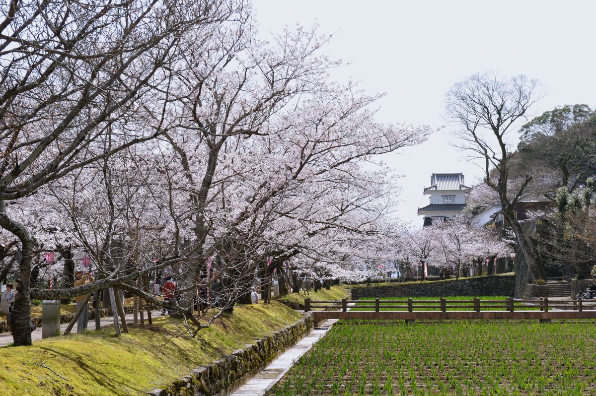 大村公園（長崎県）