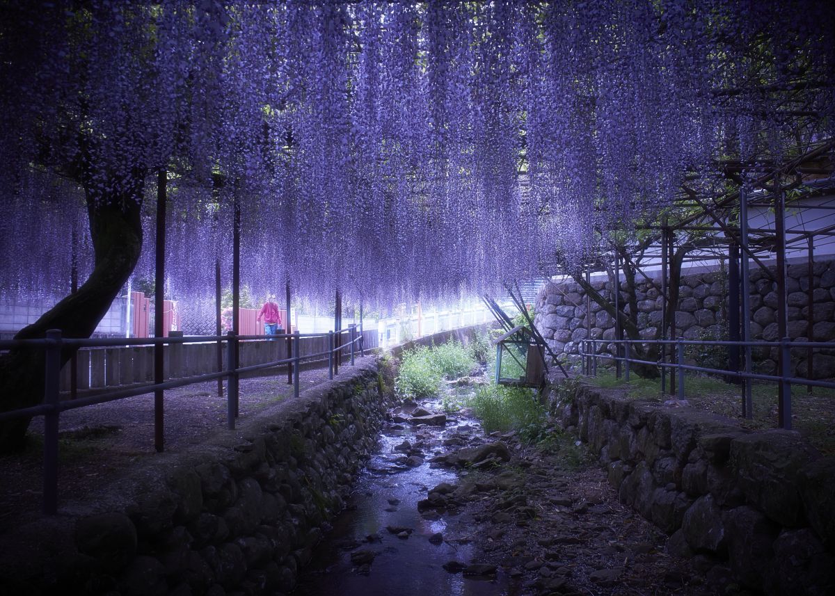 藤山神社