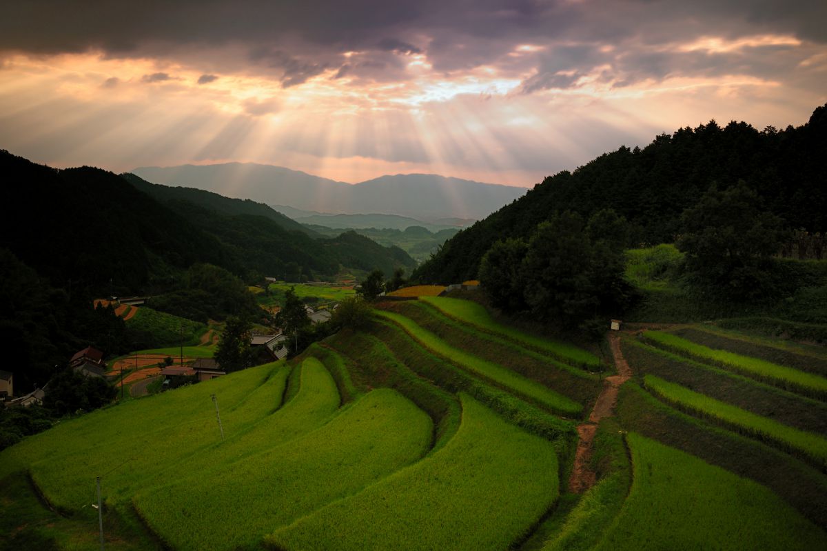 明日香村