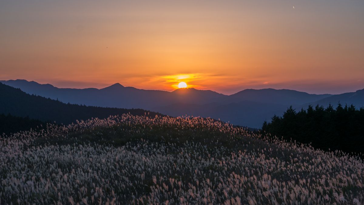 曽爾高原（奈良県）