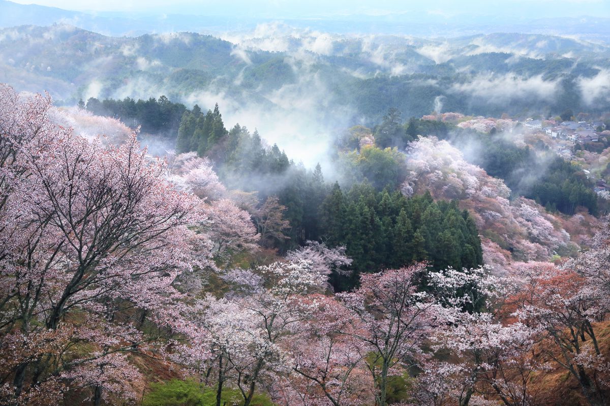 吉野山（奈良県）