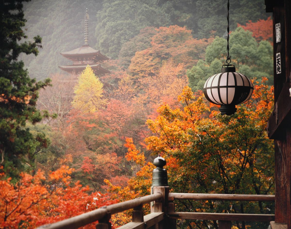 奈良　長谷寺（奈良県）