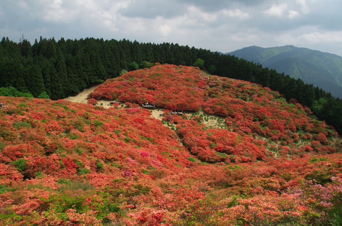 葛城山（奈良県）