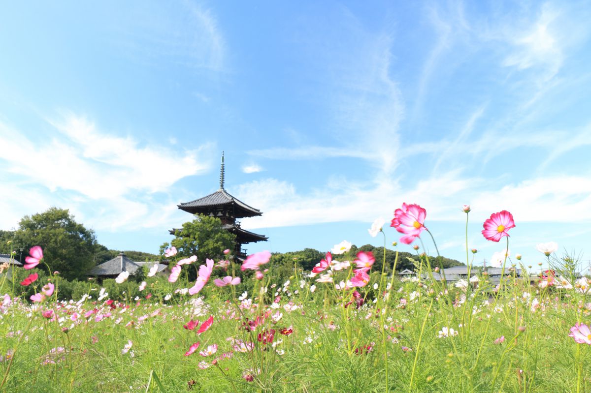 法起寺（奈良県）