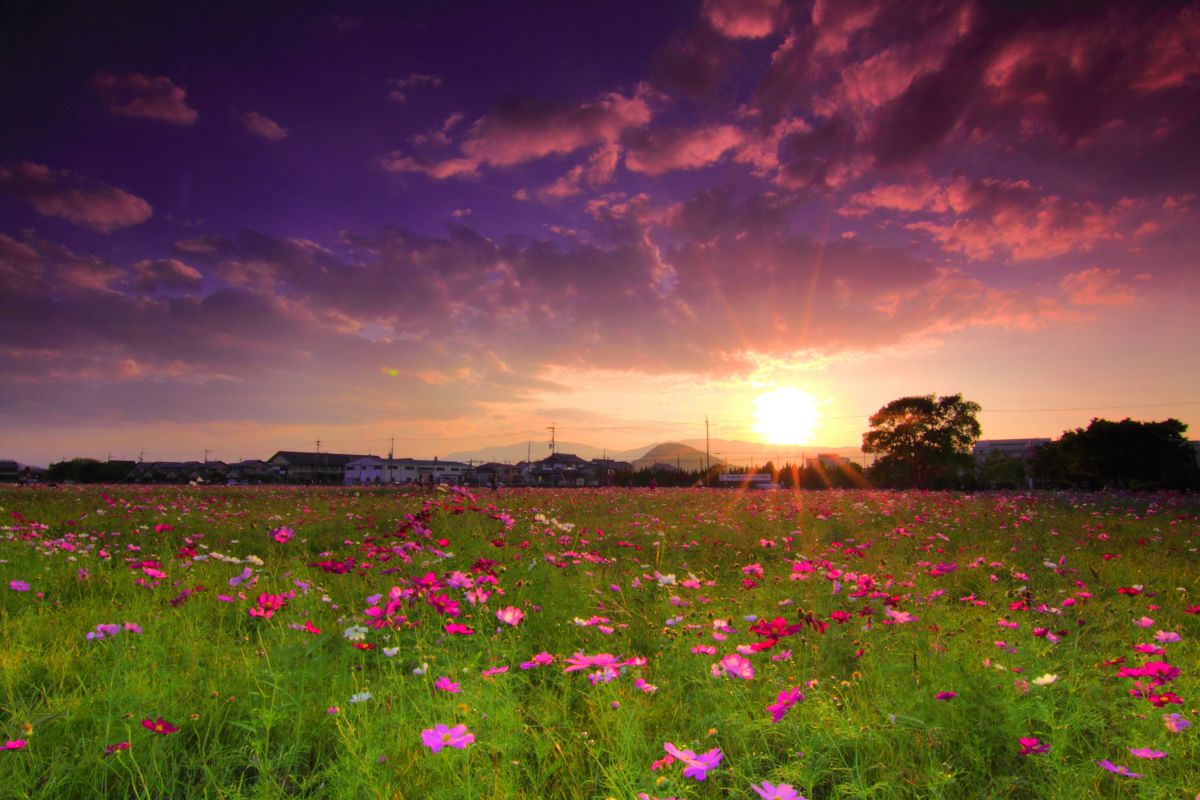 藤原宮跡（奈良県）