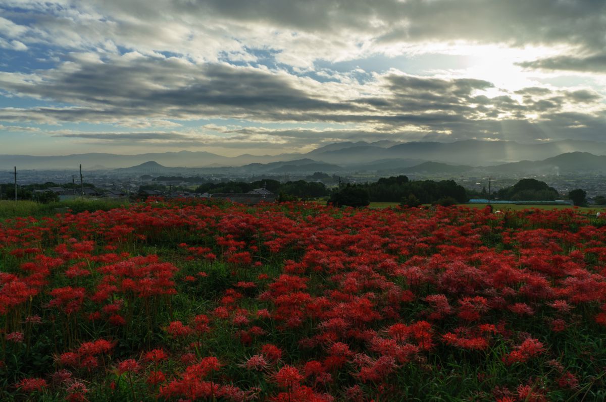 奈良　九品寺（奈良県）