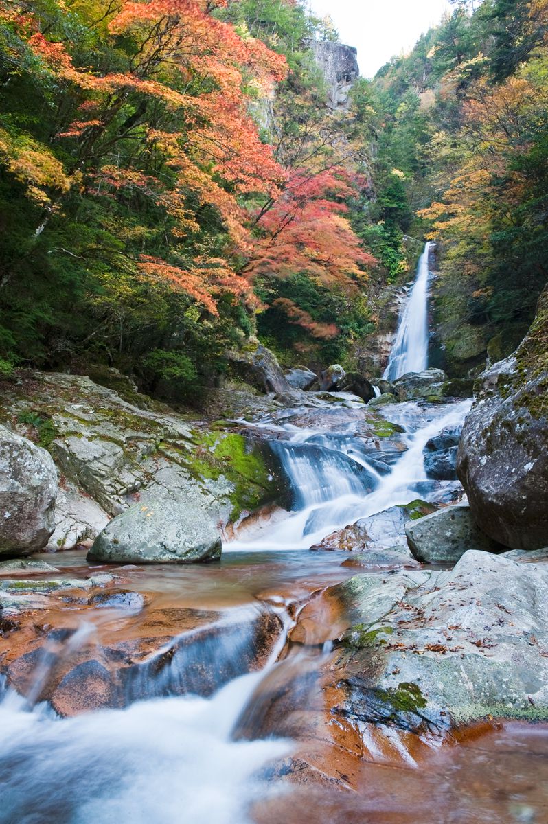 笹の滝