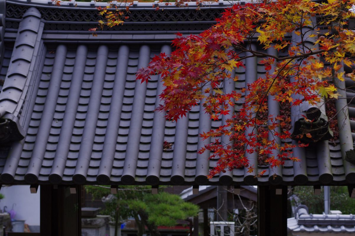 當麻寺（奈良県）