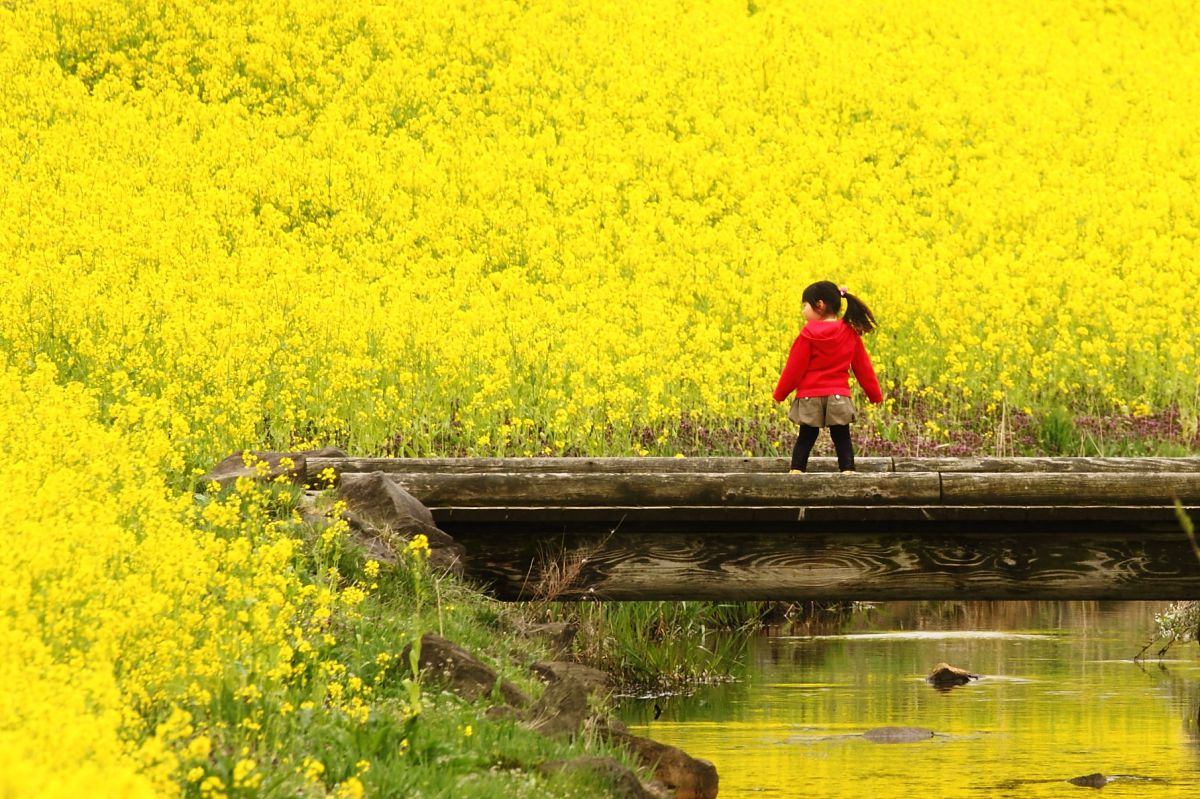 上堰潟公園（新潟県）