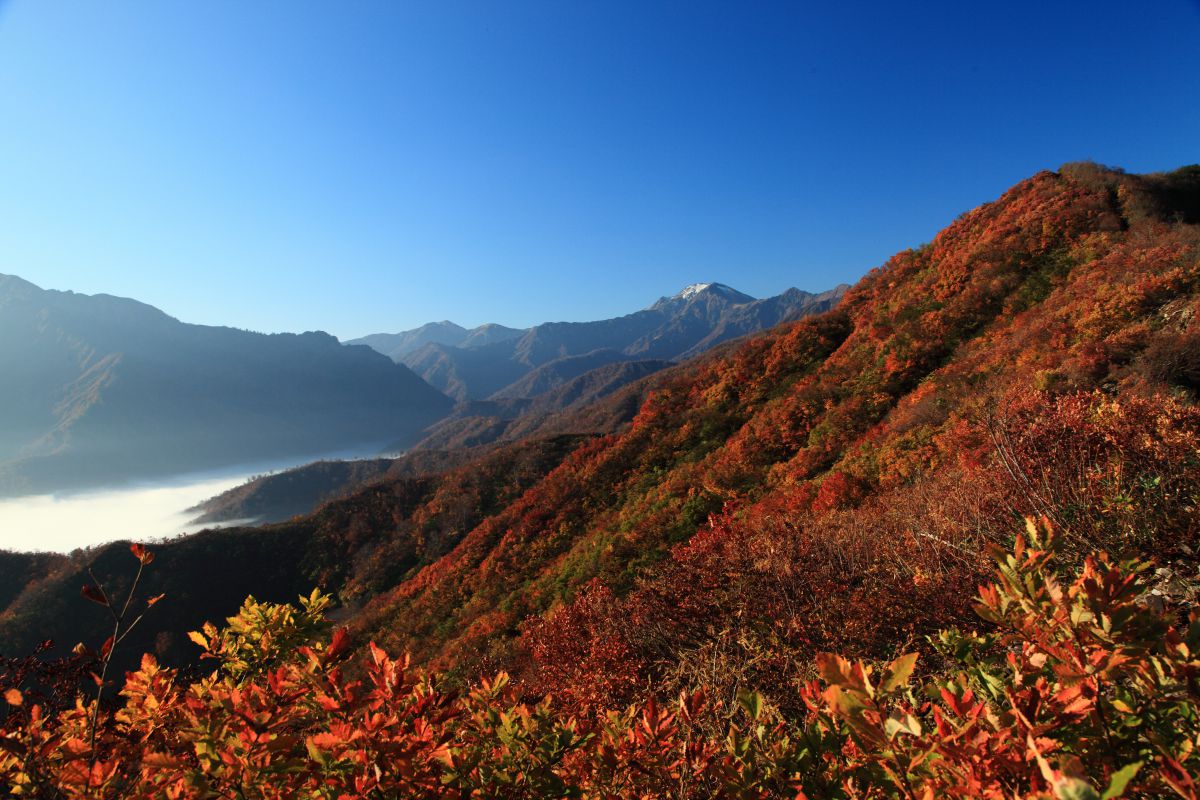 越後駒ヶ岳（新潟県）