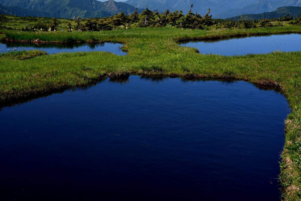 苗場山（新潟県）