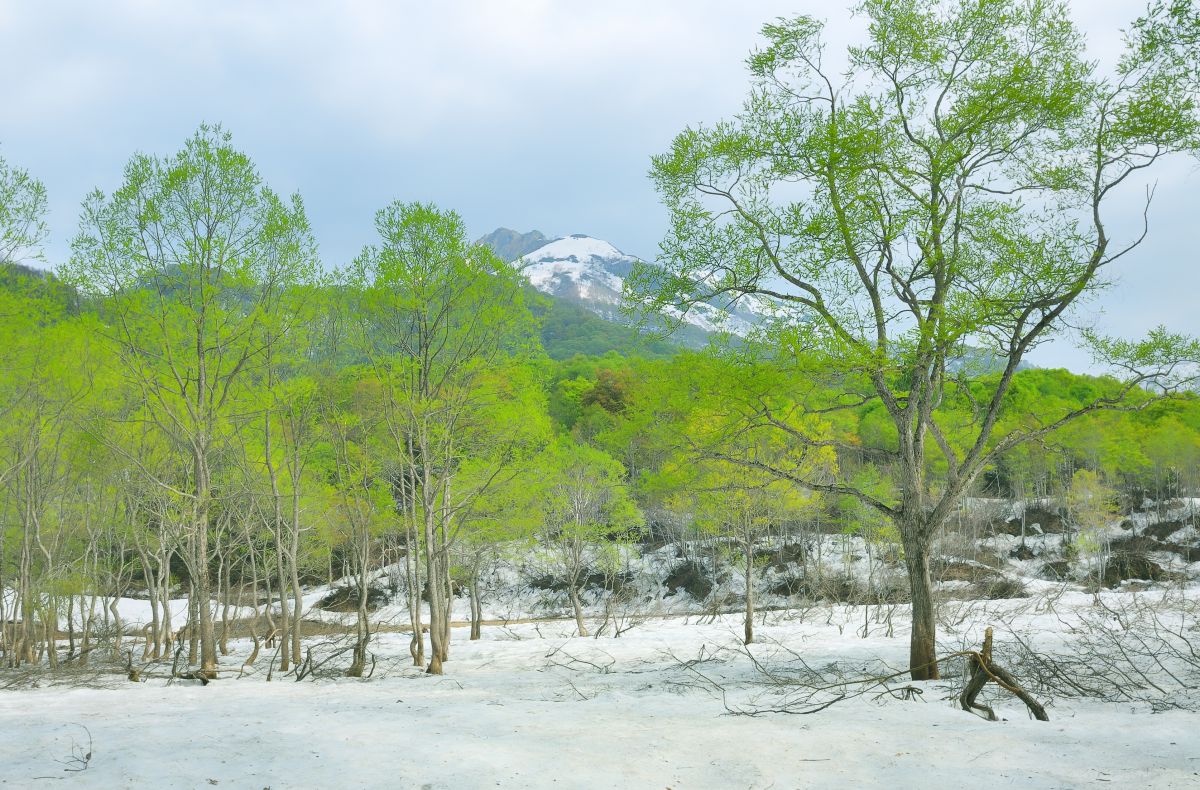 雨飾山