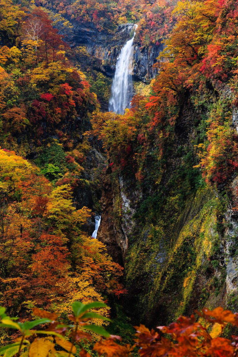 惣滝（新潟県）