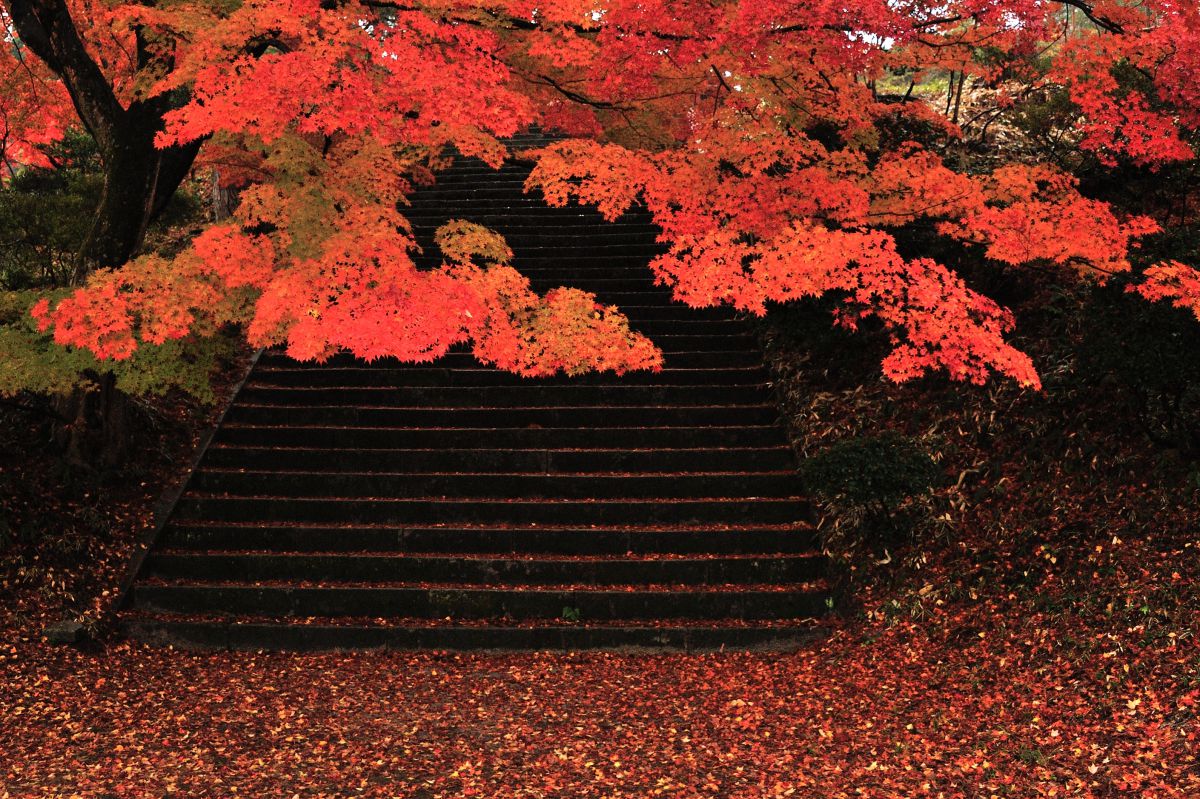 村松公園（新潟県）