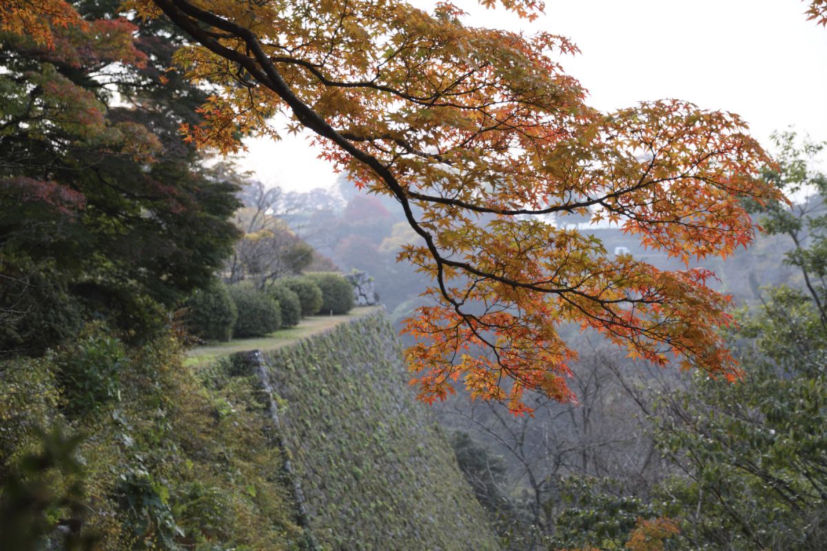 岡城