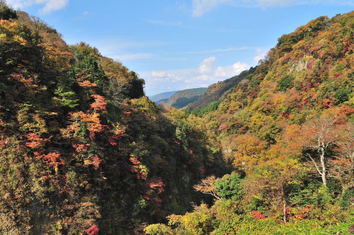 九酔渓（大分県）