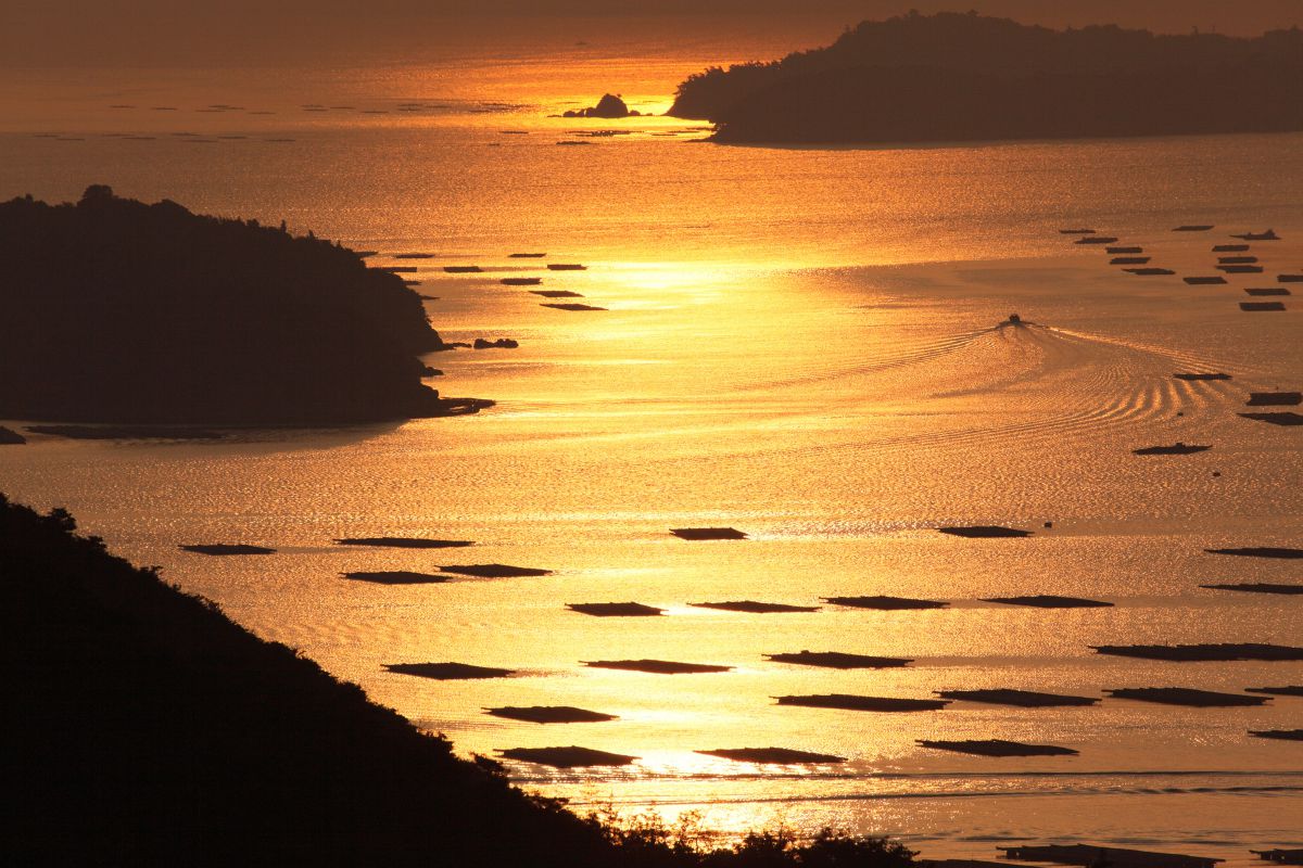 虫明湾（岡山県）