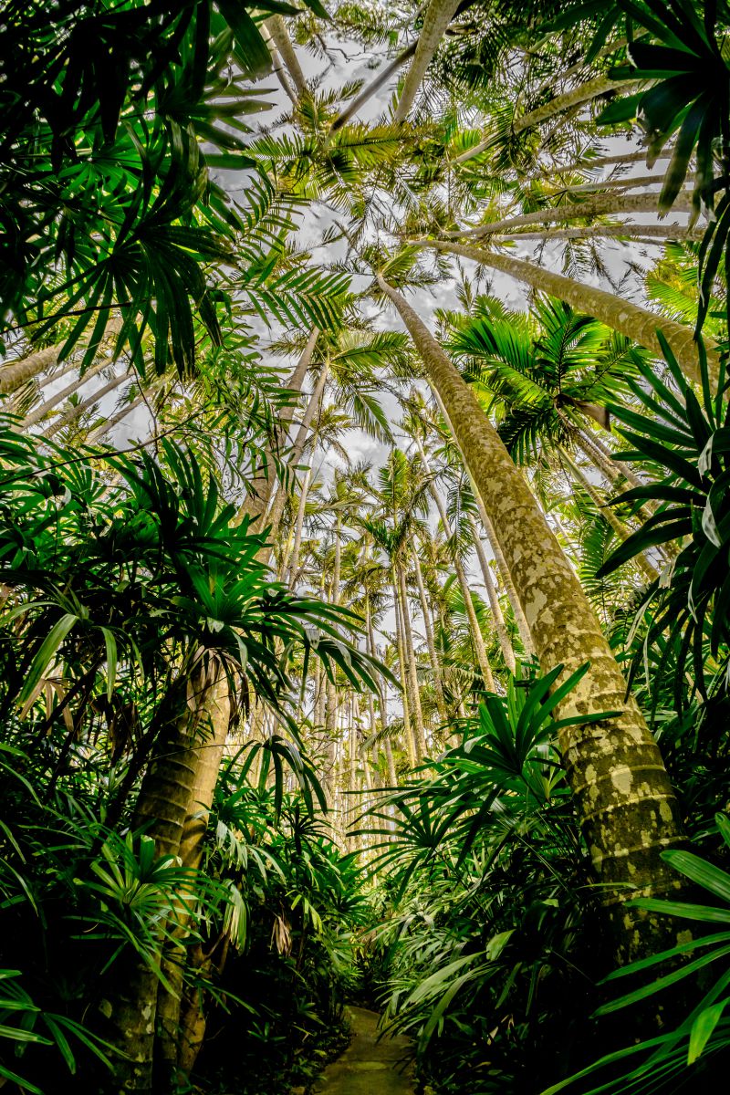 東南植物楽園