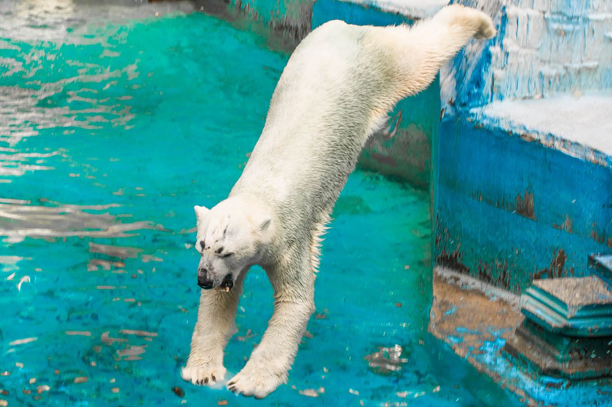 天王寺動物園（大阪府）