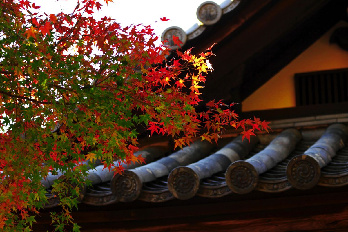 観心寺（大阪府）