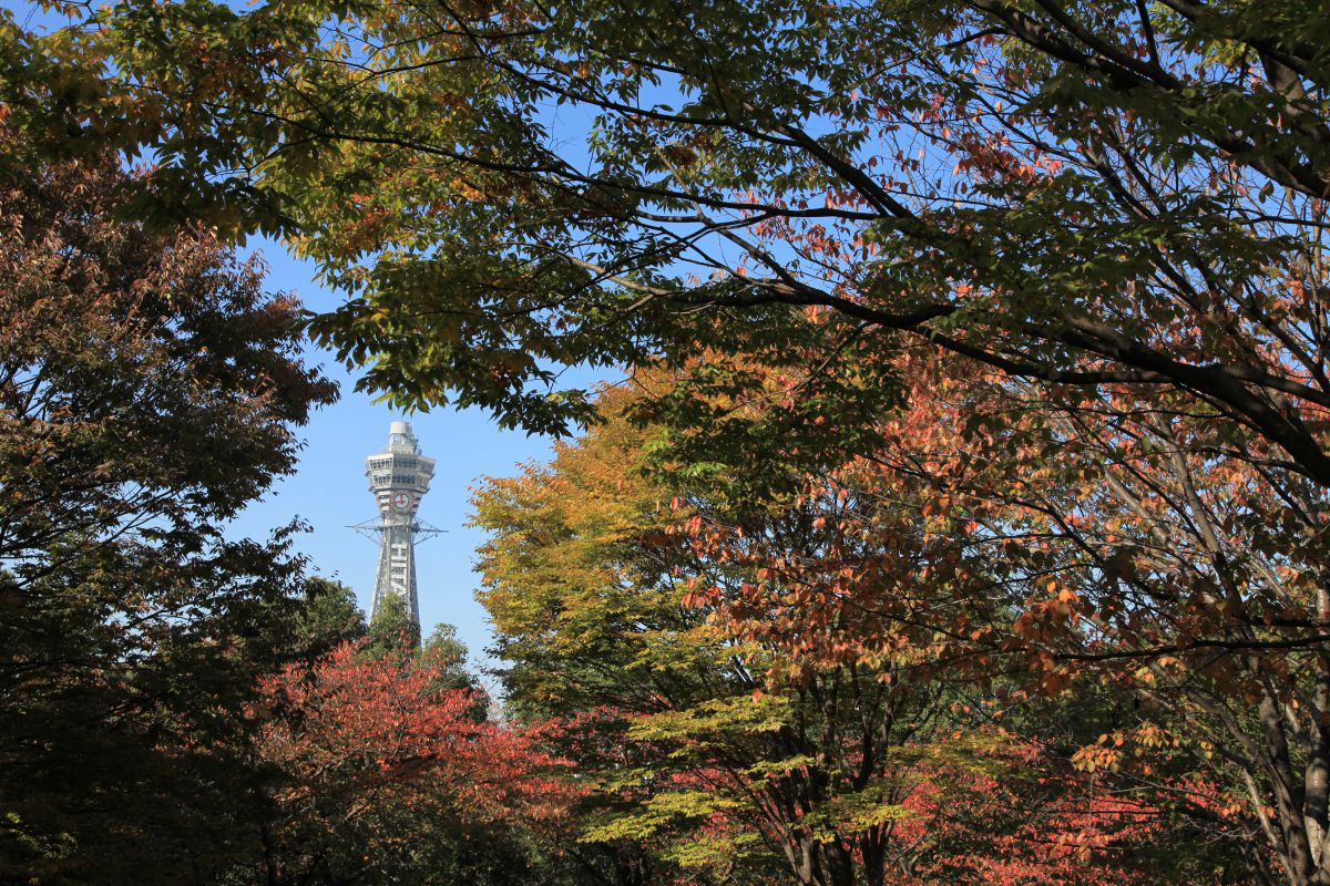 天王寺公園（大阪府）