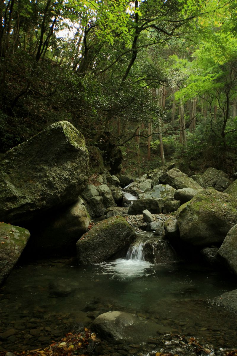 牛滝山（大阪府）