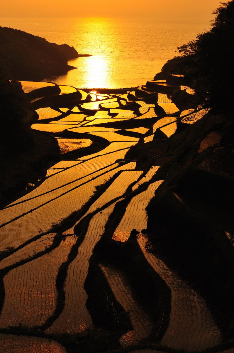 浜野浦