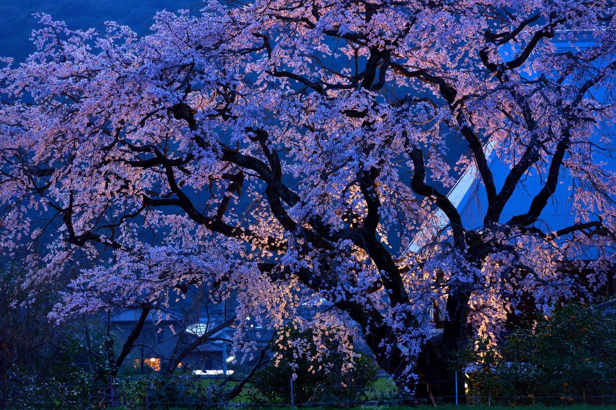 宝珠寺（佐賀県）