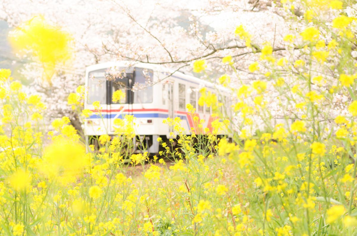 松浦鉄道