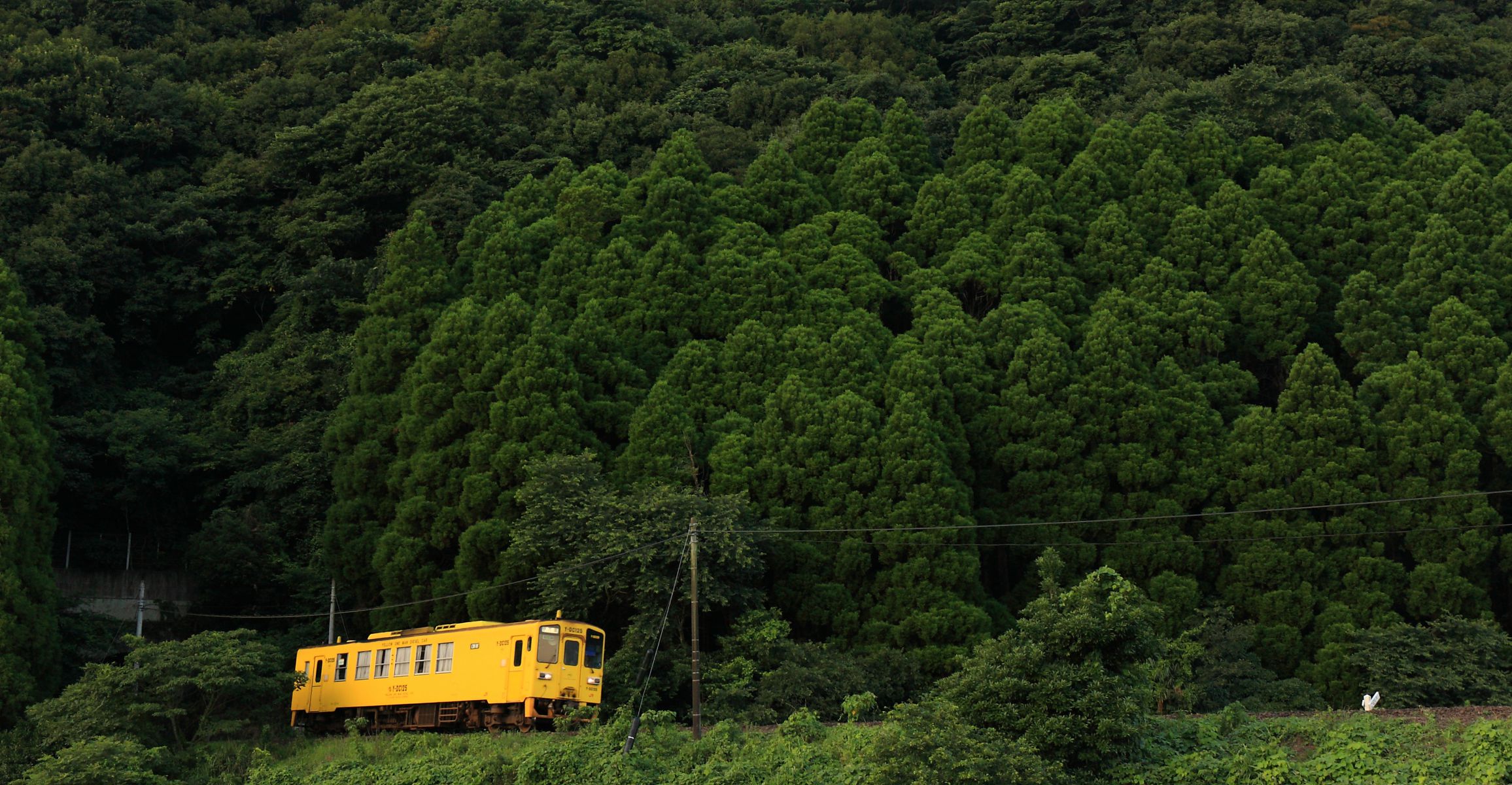 筑肥線（佐賀県）