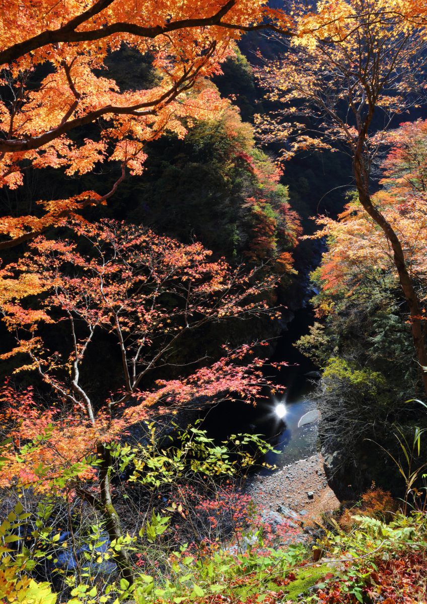 中津峡（埼玉県）