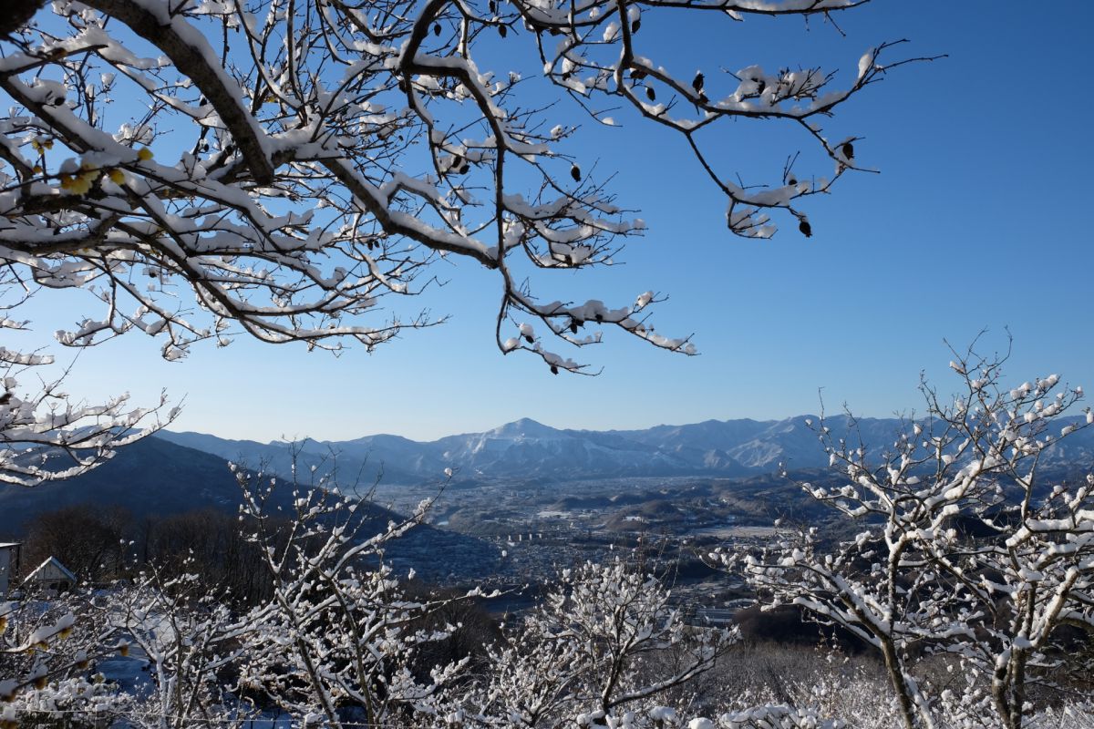 宝登山（埼玉県）