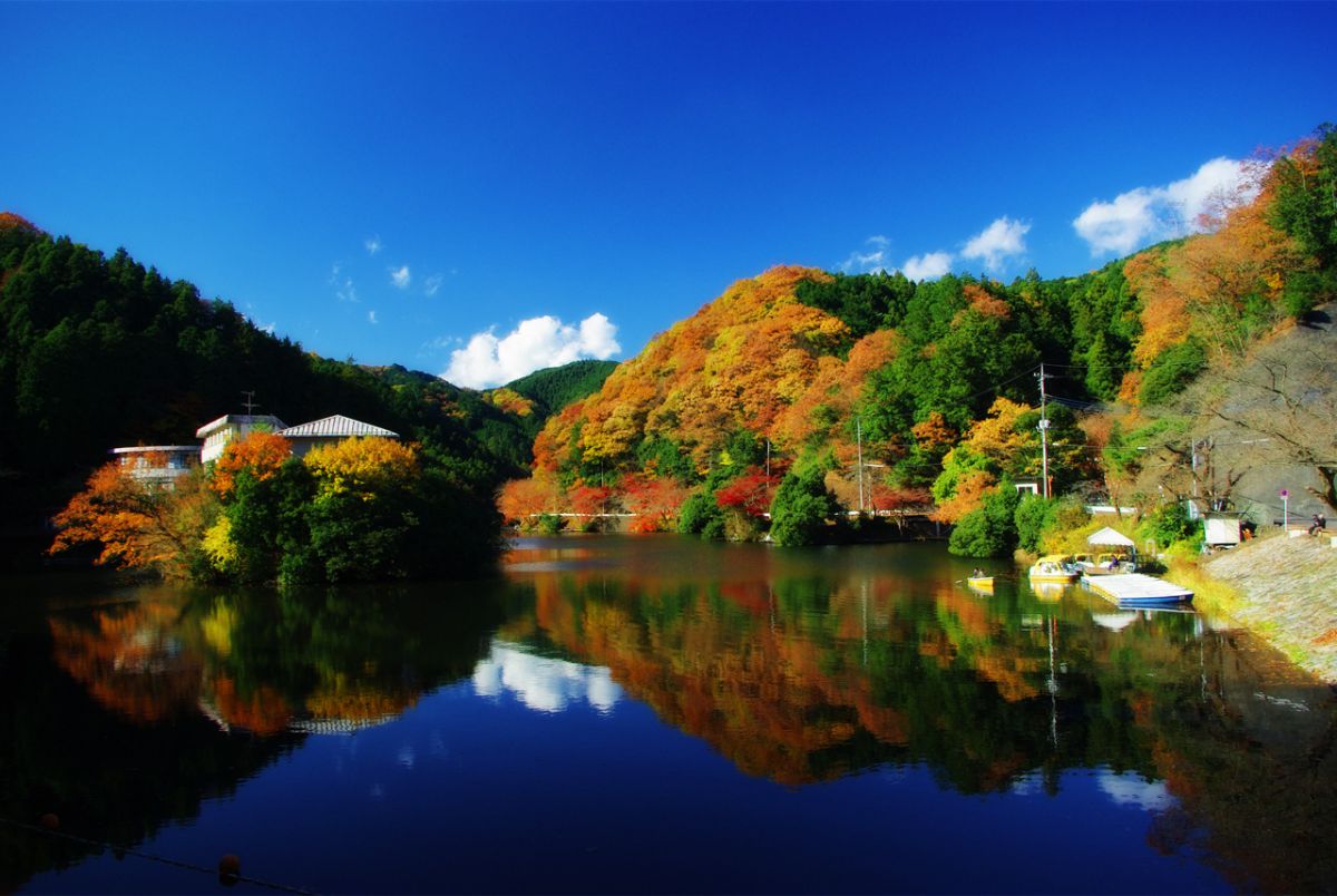 鎌北湖（埼玉県）