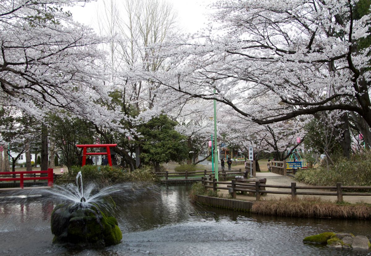 与野公園（埼玉県）