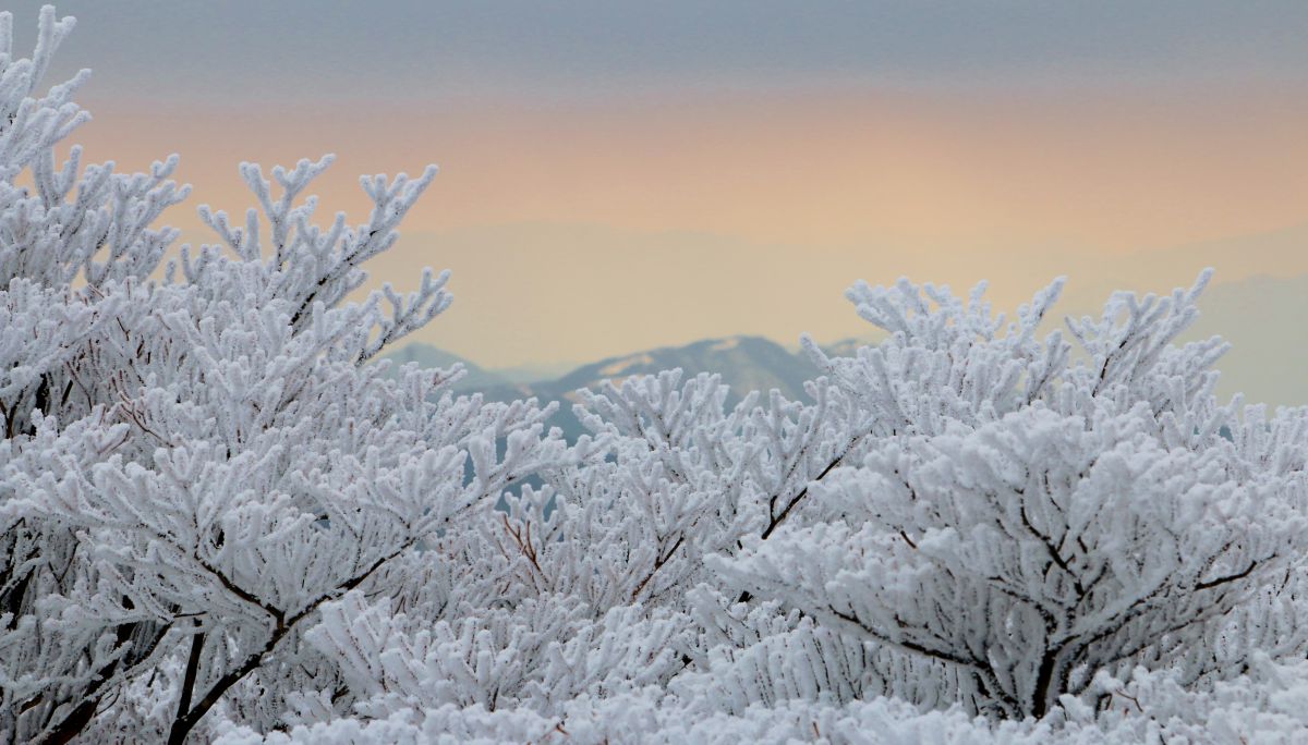 御在所岳（滋賀県）