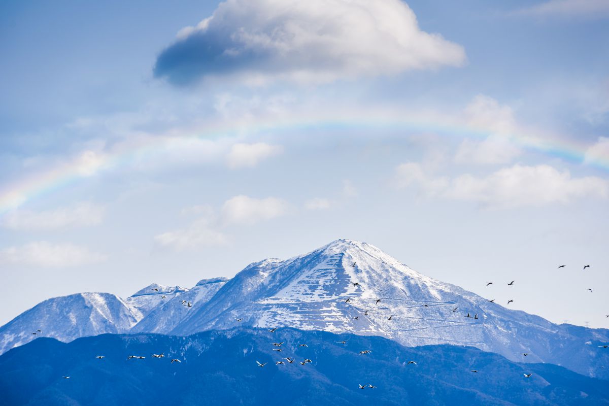 伊吹山