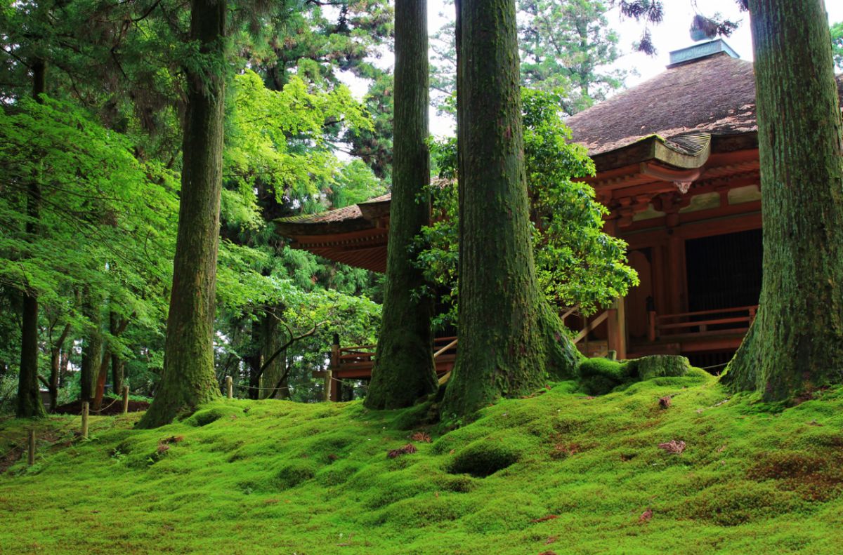 延暦寺（滋賀県）