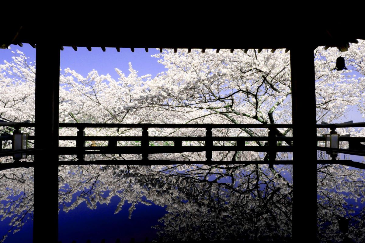 三井寺（園城寺）