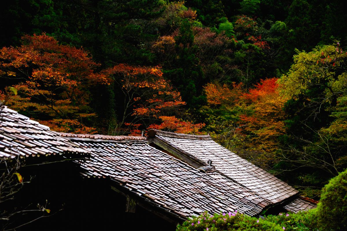 石見銀山（島根県）