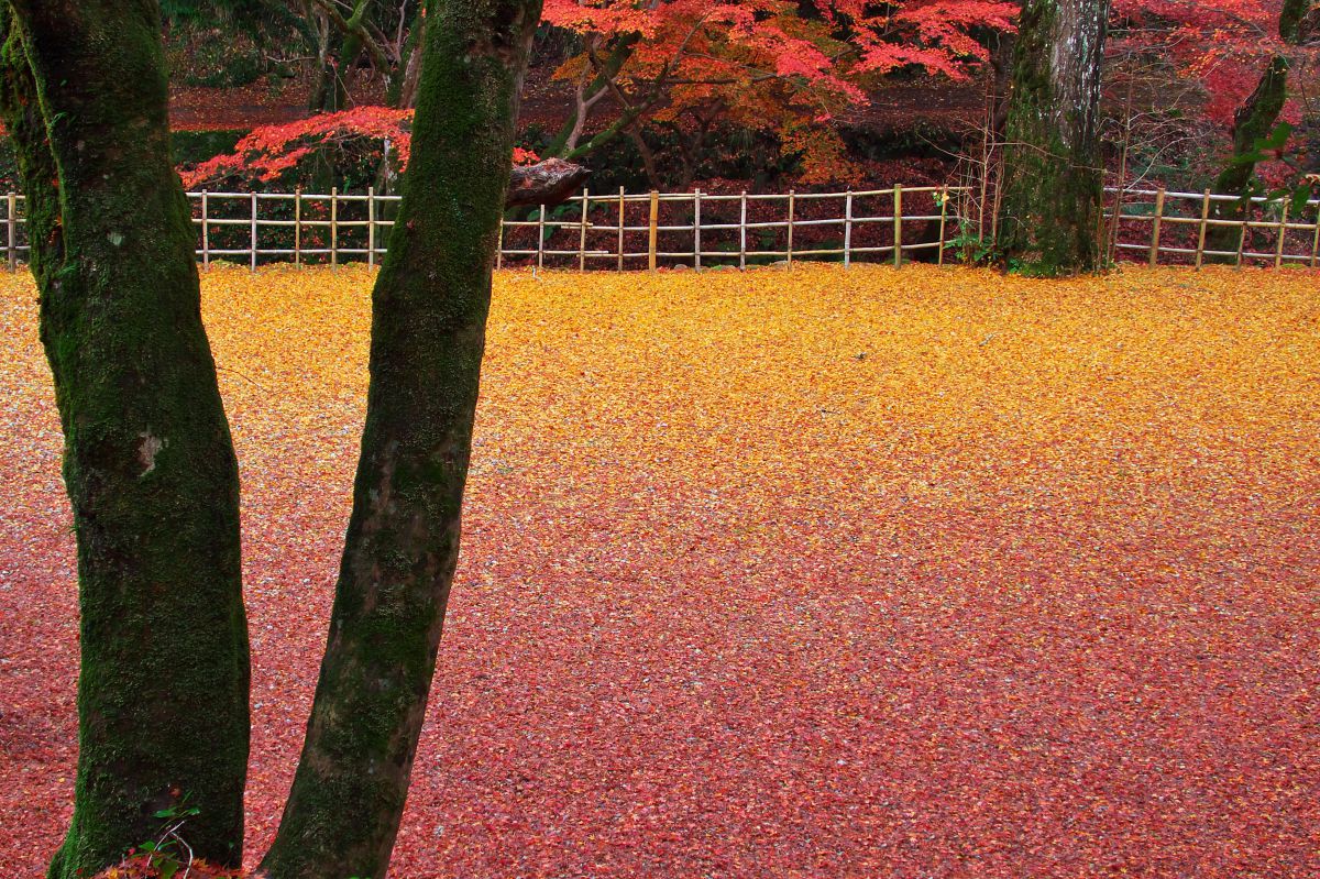 鰐淵寺（島根県）