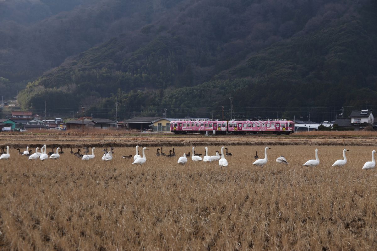 一畑電車（島根県）