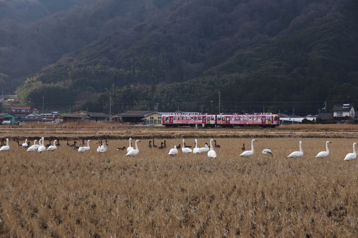 一畑電車（島根県）