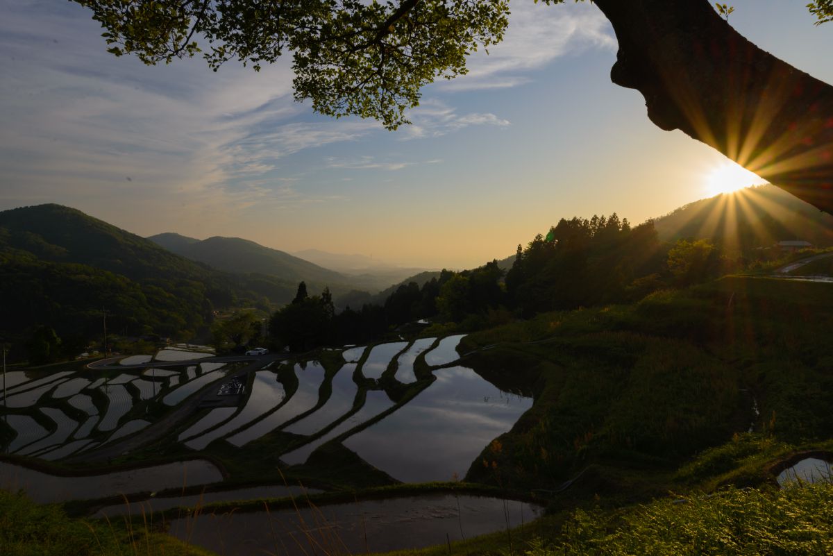 室谷の棚田（島根県）