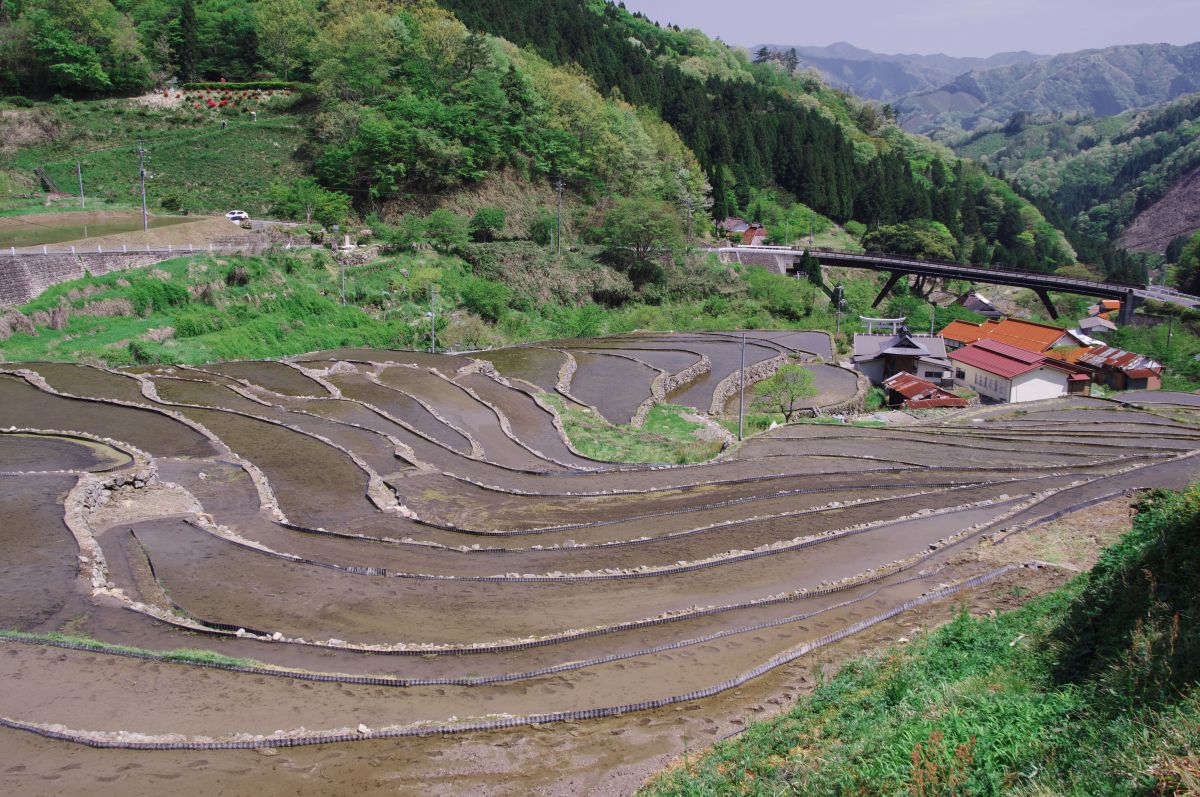 大井谷棚田（島根県）