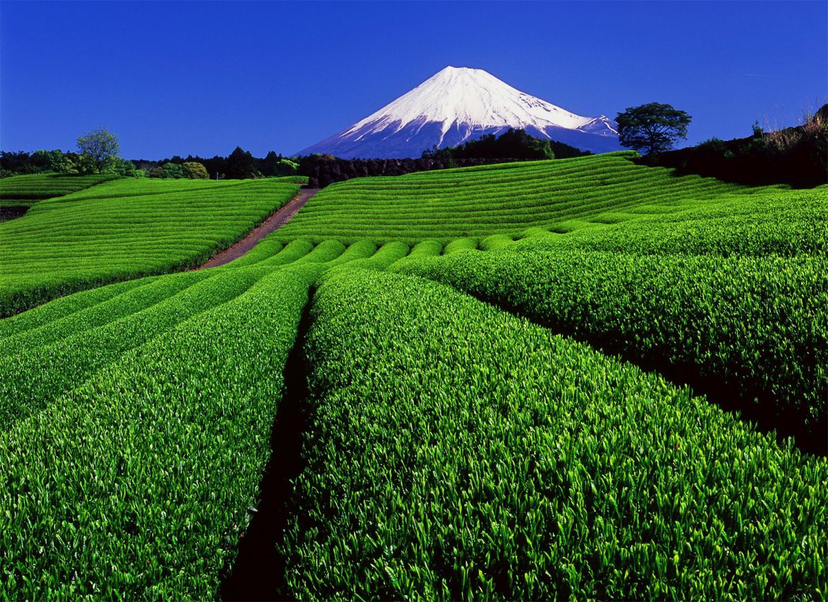 富士山（静岡県・山梨県）