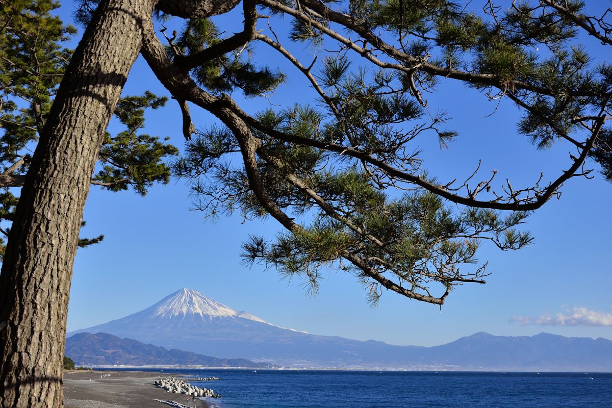 三保の松原（静岡県）