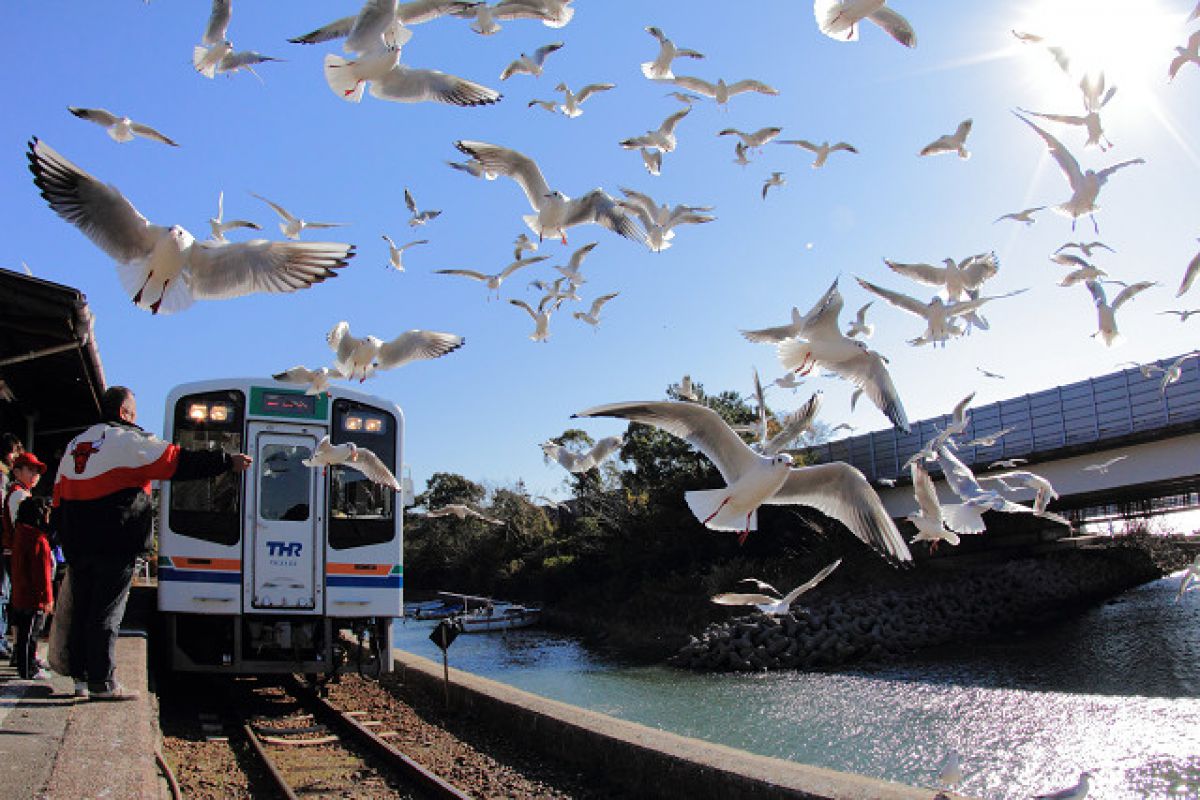 天竜浜名湖鉄道