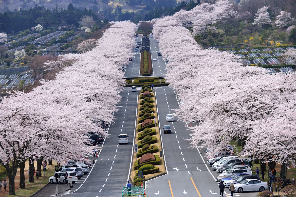 富士霊園（静岡県）